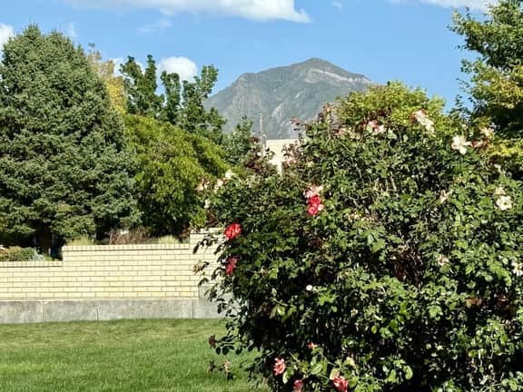 Stay, Play & Relax | Private SLC Getaway!