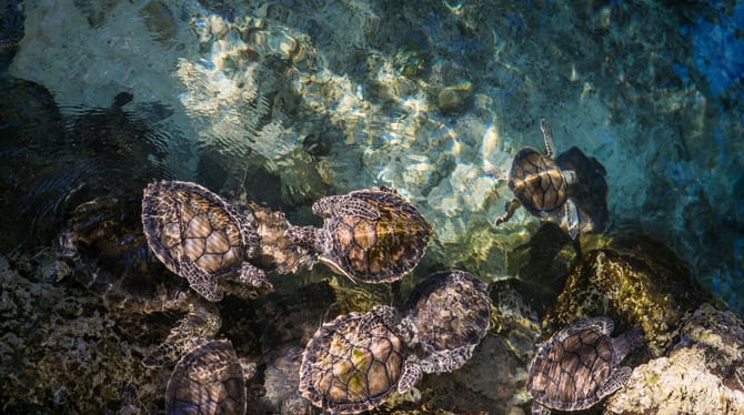 Cenote Azul