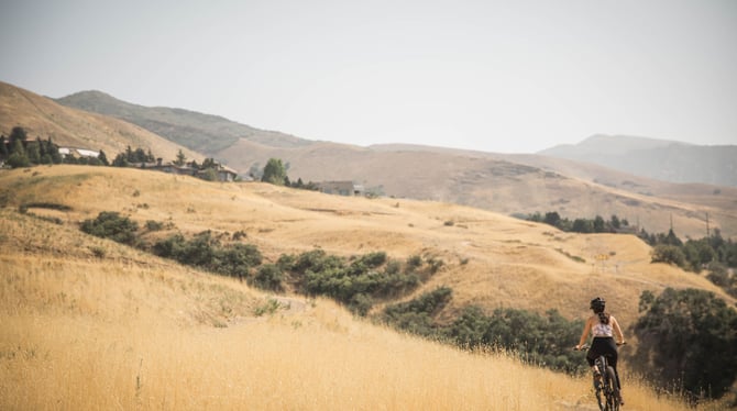 Fun Things to Do in Millcreek